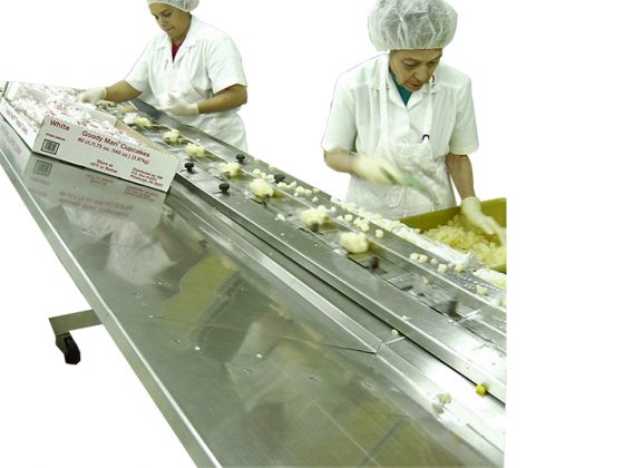 Fixed Infeed Side Table